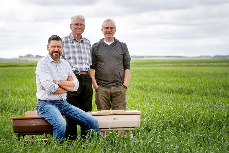 Field Crop Development Centre